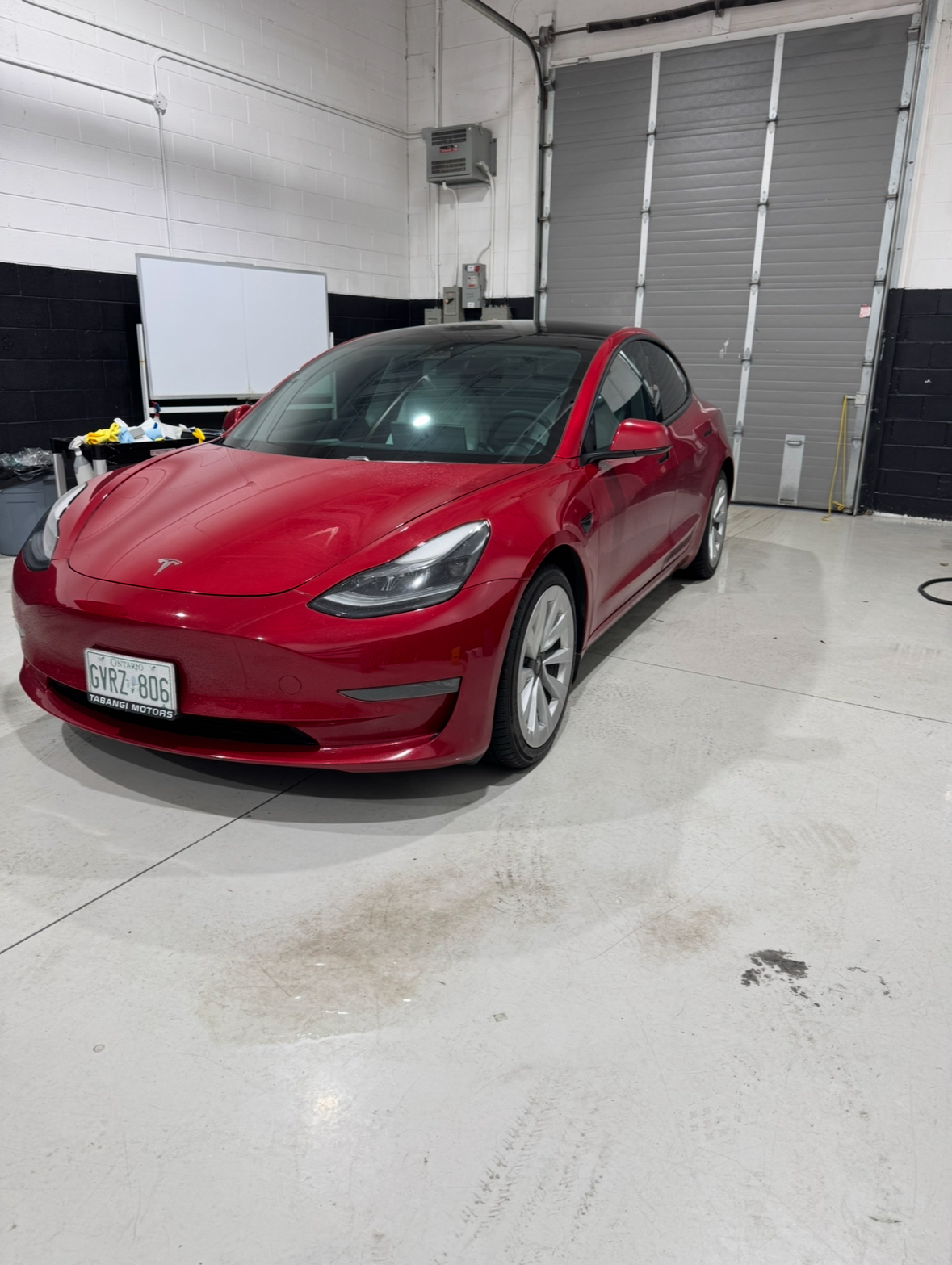 Car detailing and protection